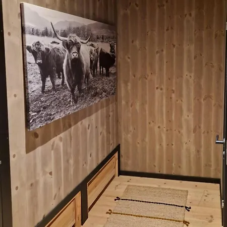 Authentic Mountain In Ringebufjellet Odlo